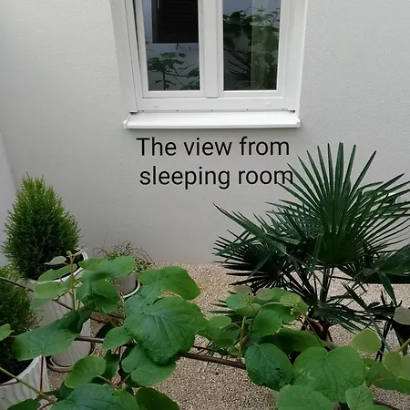 Διαμέρισμα Ondina *