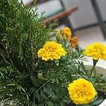 Ondina شقة *